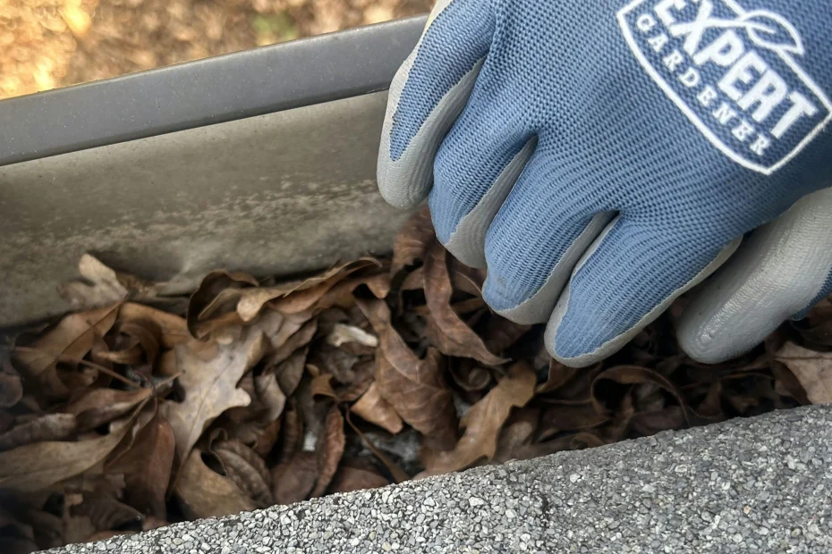 Gutter Cleaning North Miami Beach FL