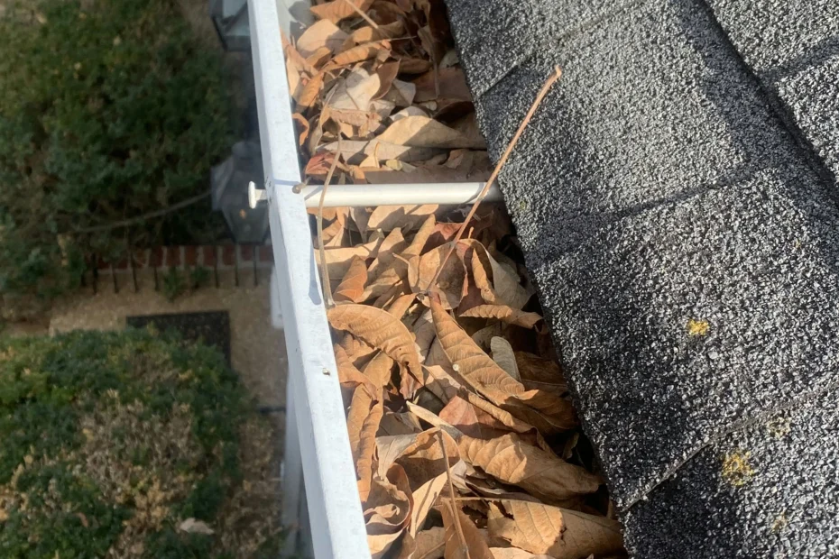 Gutter Cleaning North Miami Beach FL